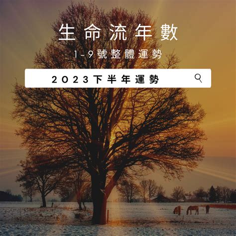 2023生命靈數流年4